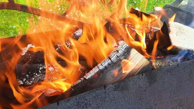 Close-up of burning firewood on barbecue outdoors in sunny weather.