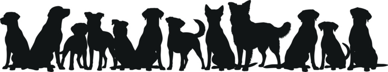 Silhouettes of various dog breeds, animal diversity illustration, pet care concept, canine lineup design, veterinary, dog lovers content, advertising