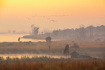 Early morning at a bird hide on the edge of a lake