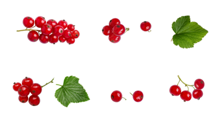 Set of branches of berries, leaves of red currant isolated on transparent background. Decor elemnt, healthy food, cooking. Cut out. Without shadow. PNG