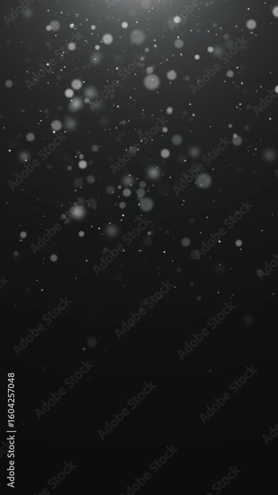 Poster abstract black and white background with bokeh lights and dust falling animation,science and space v