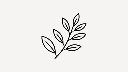 Black and white floral patterns with leaves, branches, and flower illustrations for a natural eco design