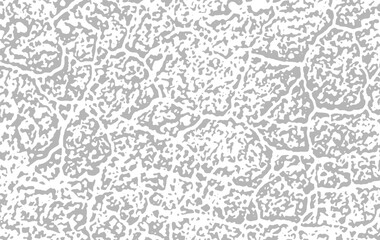 Seamless vector pattern with vintage floral ornament and birds for retro fabric design or old grunge wallpaper texture