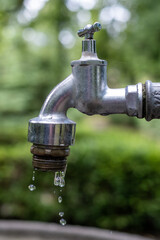Dripping tap