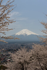 Mount Fuji in spring