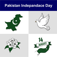 pakistan independence day icon set 