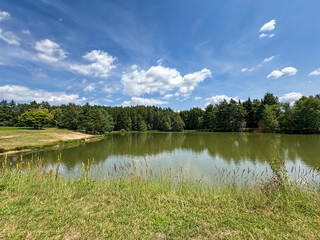 Calm Pond Surrounded by Lush Green Forest