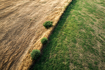 Nature's Boundaries: Dry and Flourishing Lands