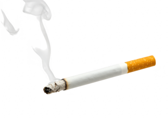 A lit cigarette with smoke rising from the burning end is on transparent