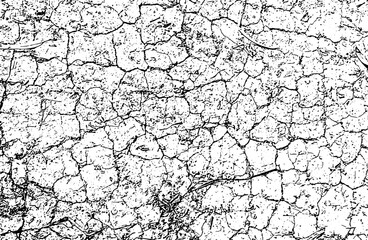 An abstract, dry, and cracked old wood texture with a natural brown bark pattern showing signs of drought and grunge on its rough surface