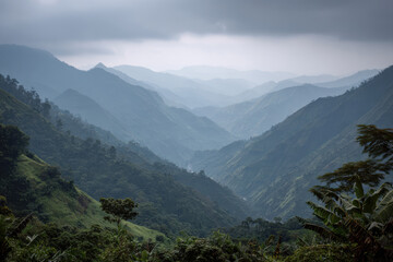 Naklejka premium breathtaking aerial view of dense rainforest in eritrea beneath overcast sky