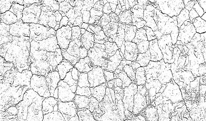 A dry, cracked, and rough old wood texture pattern on a grunge vintage wall, texture of old wood