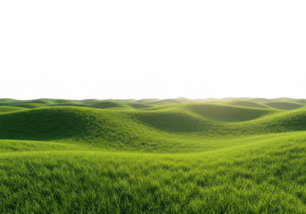 A vast expanse of rolling green hills covered in lush grass stretches towards the