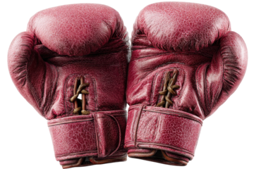 Vintage Red Boxing Gloves Leather Gear Antique Sport Equipment Fight Club Fighter Training Martial