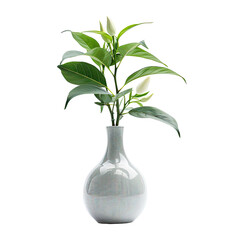 Small, round-bellied vase holds a sprig of verdant leaves and delicate white blossoms