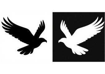 Fototapeta premium Eagle