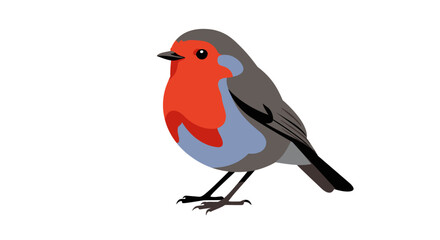 Cartoon illustration of a robin bird with red breast on white background