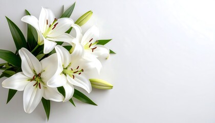 Elegant white lilies arrangement on a pristine background perfect for greetings