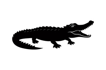 Fototapeta premium crocodile isolated on white