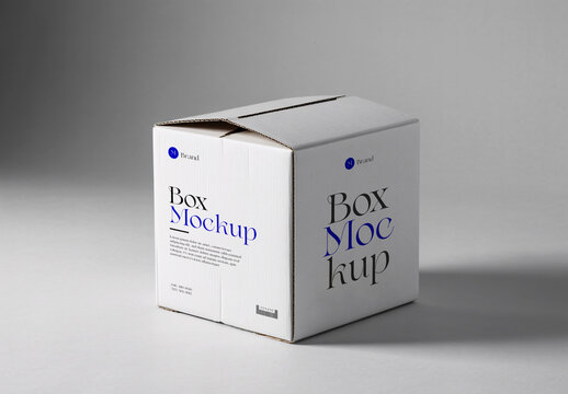 Kraft Box Mockup