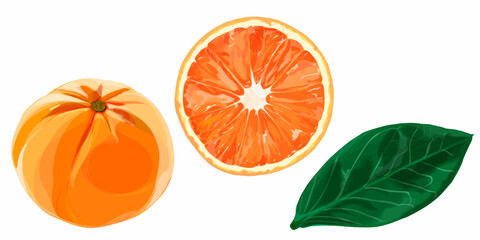 orange fruit with green leaf isolated on a clean white background