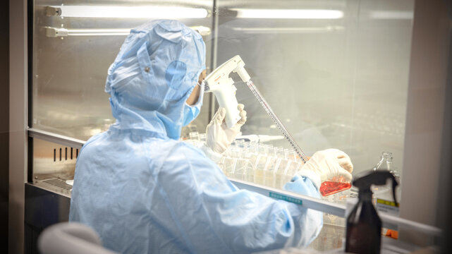 scientist working in laboratory