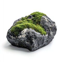 Moss-Covered Gabbro Rock moss rock moss-covered.