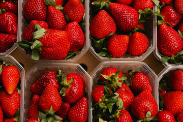 Fresh berry in plastic packaging at small local urban market. Organic produce on sale at outdoor farmer market. Selling fresh crops and veggies harvest. Close up. Part of the series