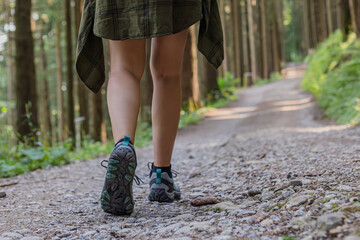 Hiker walking alone on a forest trail