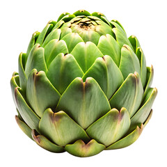 Fototapeta premium Artichoke Isolated on White Background