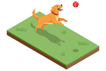 An isometric illustration of a dog chasing a red ball across a green lawn, showcasing dynamic pet activity and outdoor play
