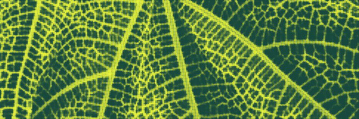 Halftone overlay resembling macro view leaf structure. Green dot texture. Vector banner for design and creative projects.