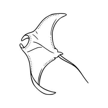 manta ray ocean life vector