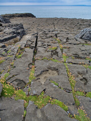 Rugged limestone pavement in Burren, Ireland, meets the Atlantic Ocean under a moody sky, revealing unique geological formations.