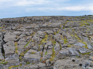 Rugged limestone pavement of Burren, Ireland, with cracks and crevices filled with wildflowers under a cloudy sky.