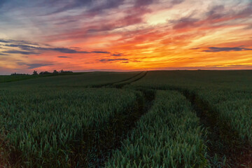 Sunset over the field, with torn dramatic orange-purple clouds. Masuria, Poland, Europe. Selective focus.