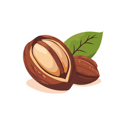 My Simple flat 2D icon of a kola nut with leaves isolated on a white background, vector design, ideal for animation, vector, web design, digital illustrations, and minimalism. EPS format, vector