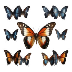 Fototapeta premium Collection of Butterflies Diverse Species and Detailed Wing Patterns