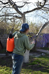Young man engaged in household chores and small-scale rural farming, tending to his garden with...