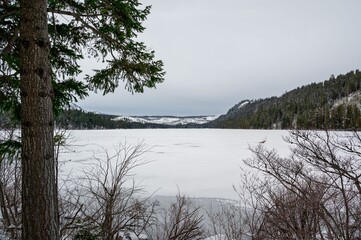 Serene winter landscape with frozen lake and snowy trees.
