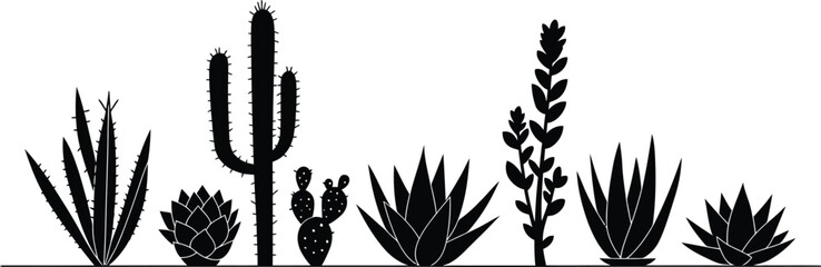 Minimalist Desert Plant Vector Design