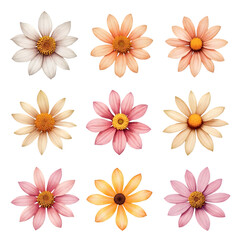 Nine Colorful Flower Blooms on Transparent Background
