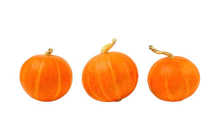 Pumpkin Red Kuri (Potimarron) isolated on white background