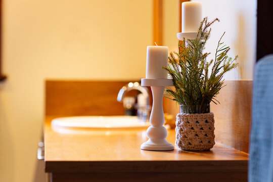 minimalist bathroom with candle on candlestick and display of native plant leaves on wooden benchtop