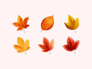 Obraz premium Autumn leaves illustration vector