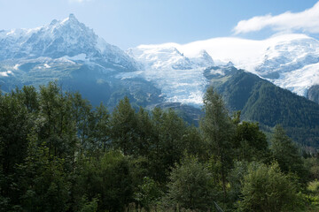 Panoramic view of Mont Blanc and surrounding snowy peaks seen from a lush green forest. A scenic Alpine landscape under clear skies, perfect for nature and travel themes.