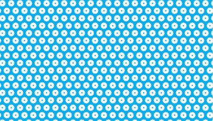 Light blue color photo design