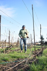 Young man engaged in household chores and small-scale rural farming, tending to his garden with care and dedication. His daily routine reflects a sustainable and self-sufficient way of life