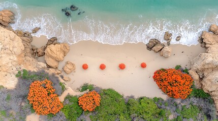 Aerial view shows beautiful beach with stunning orange blooms
