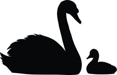 Graceful Black Swan and Cygnet Silhouettes, Representing Motherhood, Family Bonds, and Nature's Serenity, Isolated Vector Illustration for Wildlife and Wetland Concepts